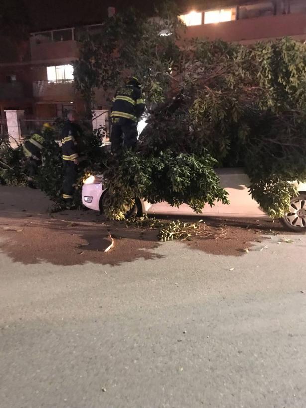 سقوط شجرة على سيارة خلال سيرها اثناء العاصفة