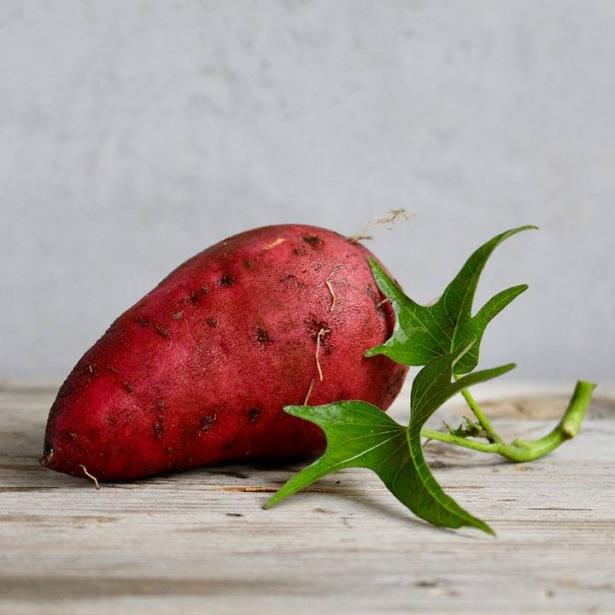 البطاطا الحلوة..فوائد صحية يصعب حصرها