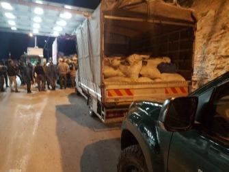ضبط 3 شاحنات محمّلة بـ11 طن عكوب في طريقها إلى الضفة الغربية