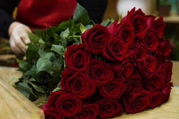 د. تغريد يونس: من يختزل يوم المرأة بتوزيع الورود يُضيّع مفهوم هذا اليوم
