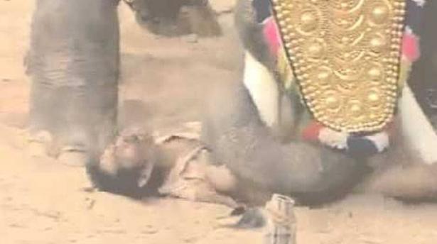 فيديو صادم: لحظة مقتل رجل تحت أقدام فيل غاضب في الهند