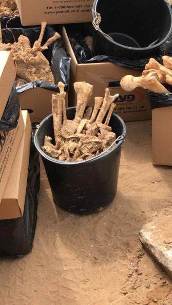 امير بدران بعد انتهاك حرمة مقبرة في يافا: "تعاملوا مع الجماجم وعظام الأموات كأنها نفايات يجب التخلص منها"