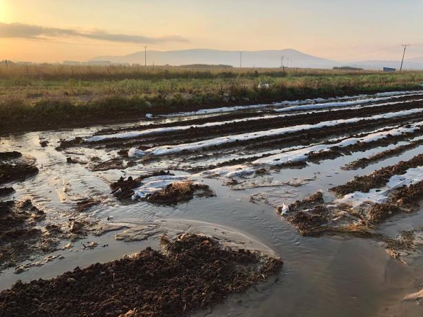 غضب واستياء لدى المزارعين في سهل البطوف: تدفق مياه الصرف الصحي والتسبب باضرار وخسائر