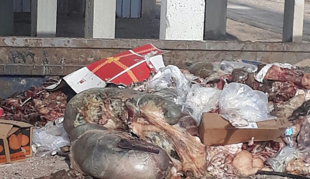 اصحاب مصالح في شفاعمرو غاضبون بسبب الروائح الكريهة لمكب النفايات