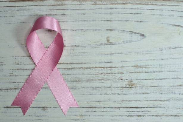 بروفيسور جمال زيدان للشمس: اكثر من 80% من النساء المصابات بسرطان الثدي يتعافين منه