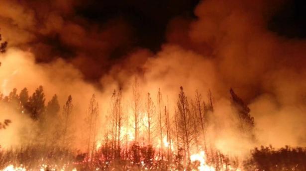 اسوأ حريق غابات بكاليفورنيا،  ارتفاع عدد الضحايا الى 76 وأكثر من ألف مفقود
