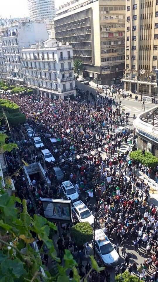 الجزائر تحبس أنفاسها من جديد.. الآلاف يتظاهرون والشرطة تدفع بتعزيزات أمنية إلى محيط قصر الرئاسة