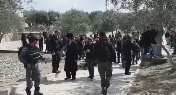 شاهد: توتر في الأقصى بعد محاصرة المصلين بباب الرحمة خلال جولة  للمستوطنين