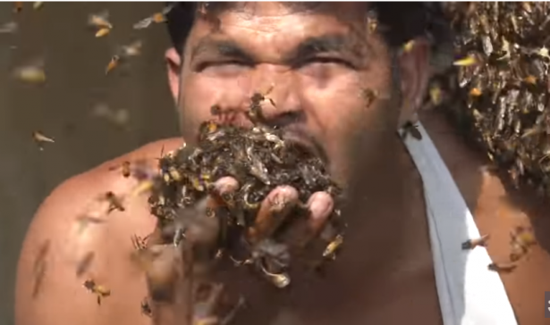 شاهد: رجل يأكل آلاف النحلات