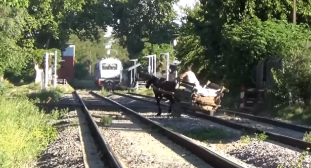 بالفيديو... رجل ينجو بعربته وحصانه من الموت أمام القطار في اللحظة الأخيرة