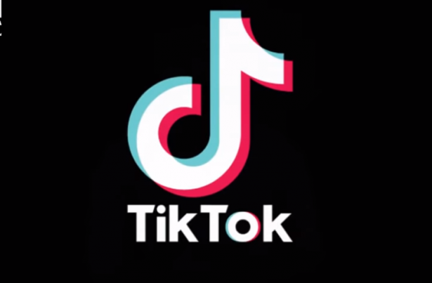 TikTok تزيل أكثر من 6 ملايين مقطع فيديو بالهند