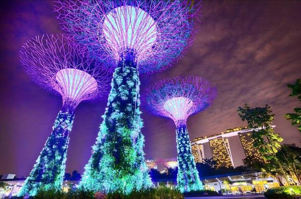 حدائق سنغافورة وجهتك السياحية في الربيع