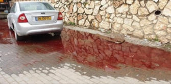 مشادة حادّة عبر  أثير الشمس بين رئيس بلدية شفاعمرو وأحد المتضررين من اعادة فتح مكب النفايات بجانب المسلخ البلدي في وادي الصقيع
