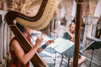 آلة الصنج ـ الجنك ( الهارب HARP )