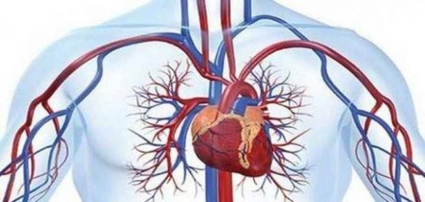 الكولاجين وأمراض الأوعية الدموية