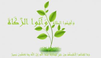 ما هي شروط الزكاة