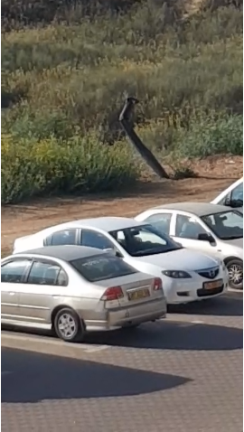 شاهد: سقوط قذيفة في اشدود