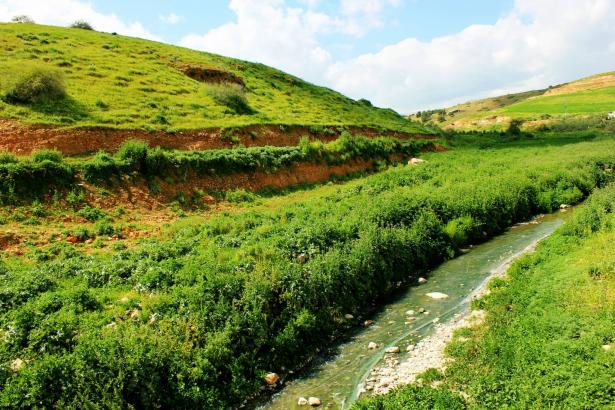 الأغوار - wikimedia