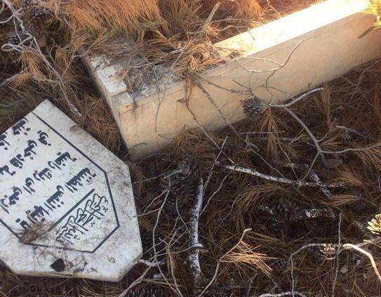 تصوير ناشطين