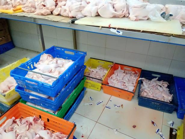 ضبط 4 طن من اللحوم الفاسدة في قلنسوة