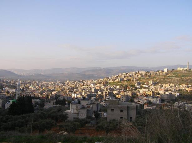عرابة - wikimedia