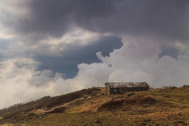 elements.envato