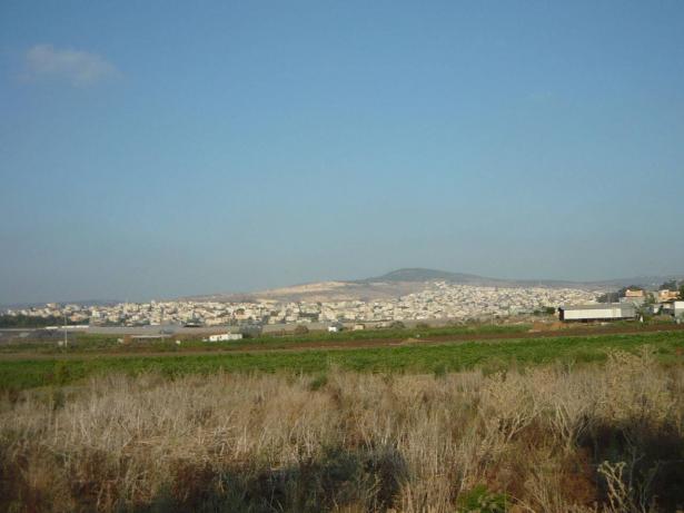 wikipedia - طمرة
