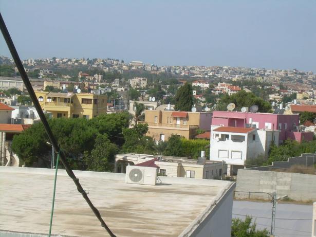 wikipedia - دالية الكرمل