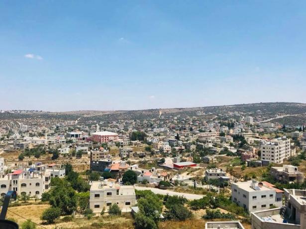 مصادر فلسطينية: الجرافات الاسرائيليّة تقتلع عشرات اشجار الزيتون المعمرة شمال غرب مدينة سلفيت