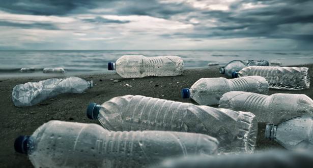 في اليوم العالمي للمستهلك: ما هي خطورة المواد البلاستيكية على النظام البيئي؟