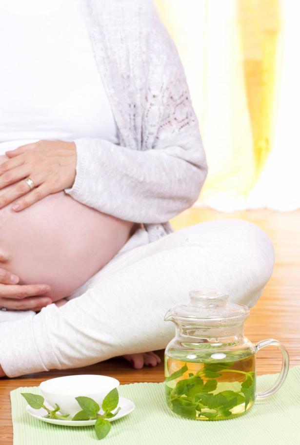 الأعشاب في فترة الحمل: ما المسموح وما الممنوع؟