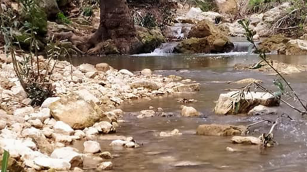 الصيف يقترب: تعرفوا على مسار وادي البصة مع المرشد السياحي صالح أسعد
