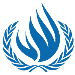 مجلس حقوق الإنسان : تحقيق دولي حول إنتهاكات حقوق الإنسان في الأراضي الفلسطينية