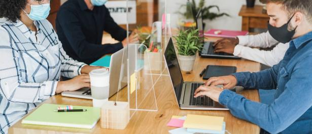 Envato Elements