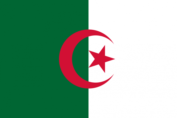 غدًا: 24 مليون ناخب جزائري يدلون بأصواتهم في الانتخابات الأولى بعد بوتفليقة