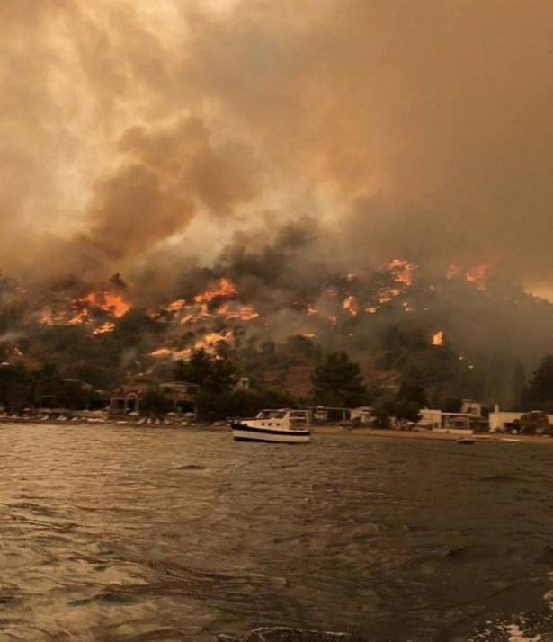 الصحفي علام صبيحات: حول الحرائق التي تجتاح جنوب تركيا