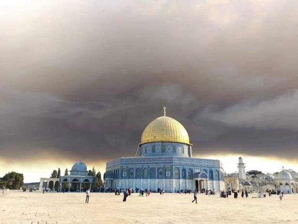 حرائق جبال القدس: 17 ألف دونم .. وما زالت مستمرة!