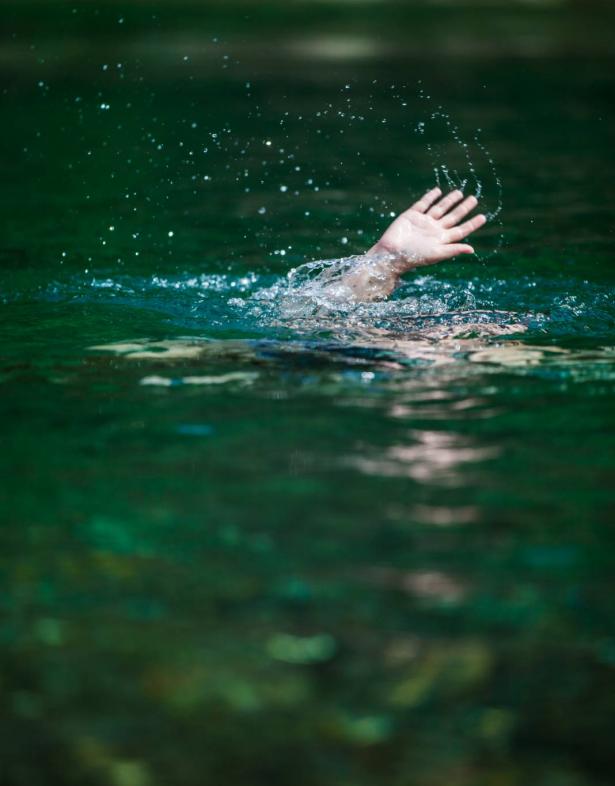 elements.envato