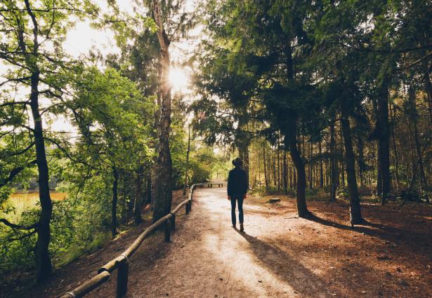 المشي في الطبيعة كيف يصفّي الذهن؟