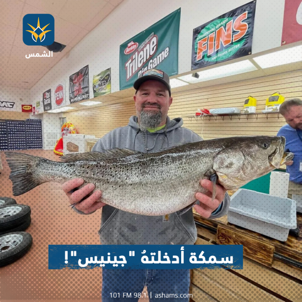 سمكة أدخلتهُ 