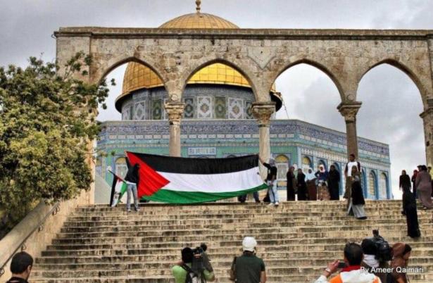 إلى ماذا ترمز ألوان العلم الفلسطيني؟