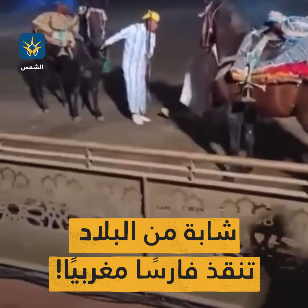 روند مفرع شابة من البلاد تنقذ فارسا مغربيا (حوار خاص)