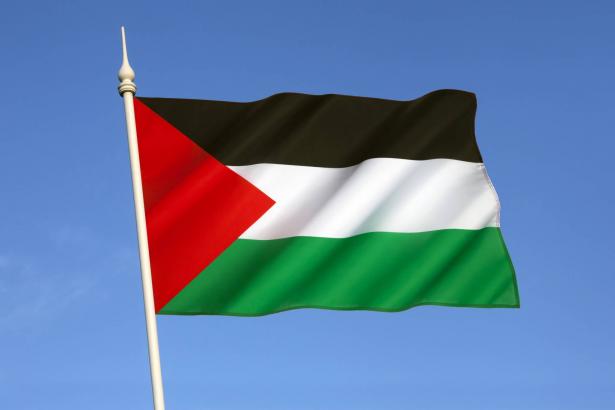 استطلاع لمنظمة العفو الدولية في البلاد: التحريض على العلم الفلسطيني نجح (حوار خاص)