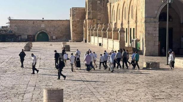صورة متداولة على مواقع التواصل الإجتماعي 
