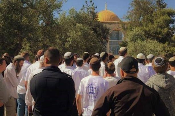صورة توضيحية من الأرشيف