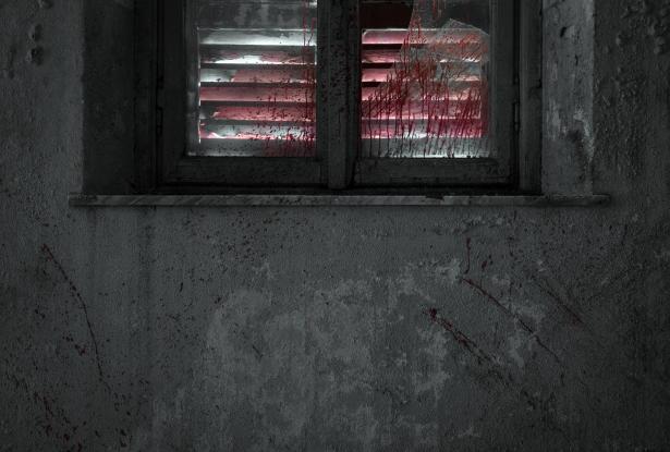 صورة توضيحية 