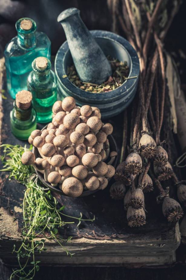 كيف نعالج أوجاع العظام والمفاصل عن طريق الأعشاب الطبية؟