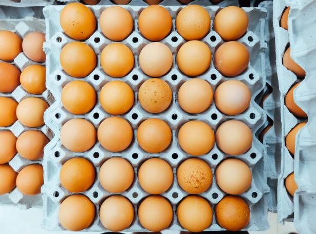 ارتفاع أسعار البيض في البلاد بنسبة 16٪ اضافية - هل سنشهد ارتفاعات اخرى خلال العام؟