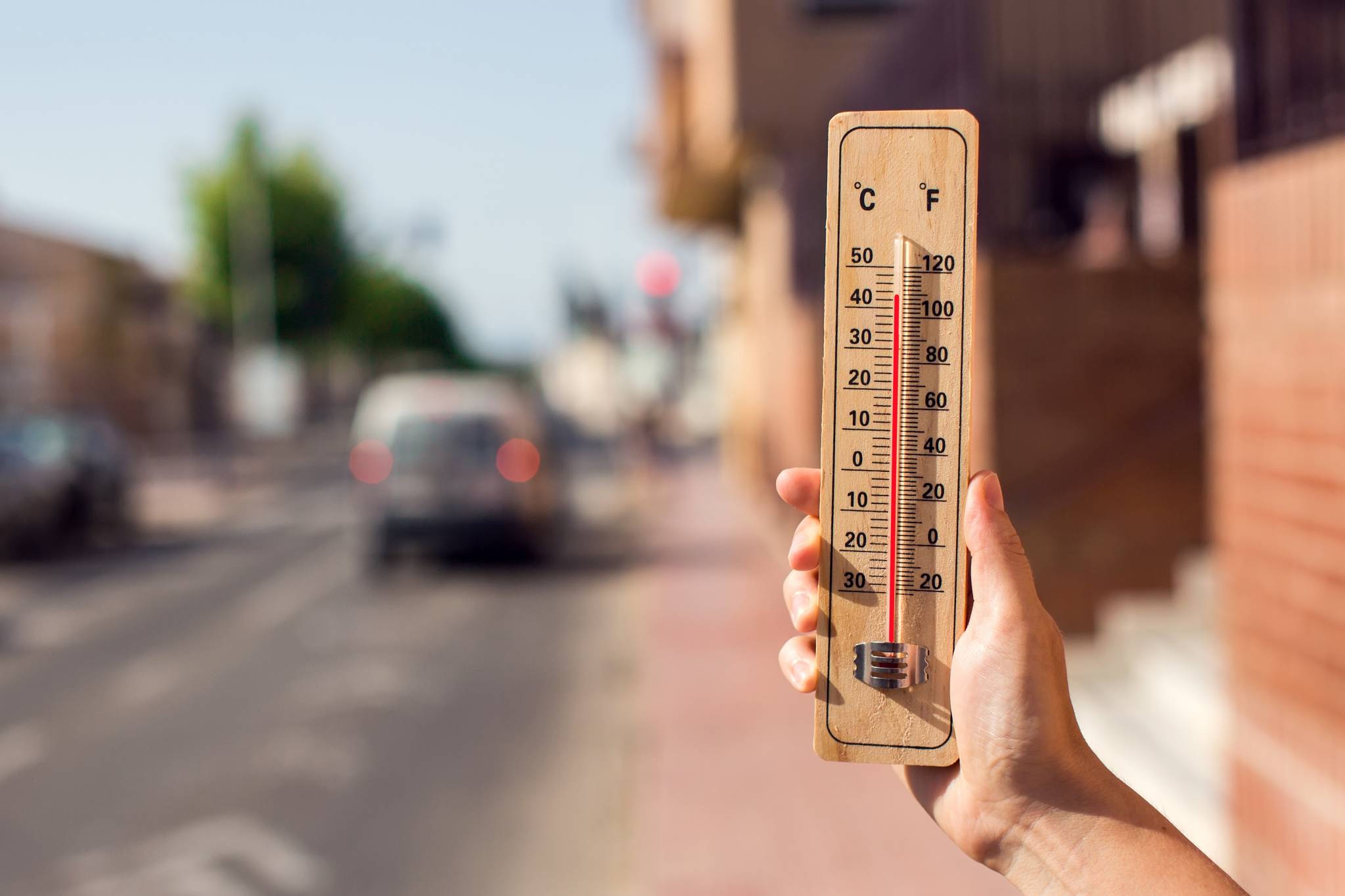 كيف نلائم انفسنا لأزمة المناخ وتقلبات الطقس؟