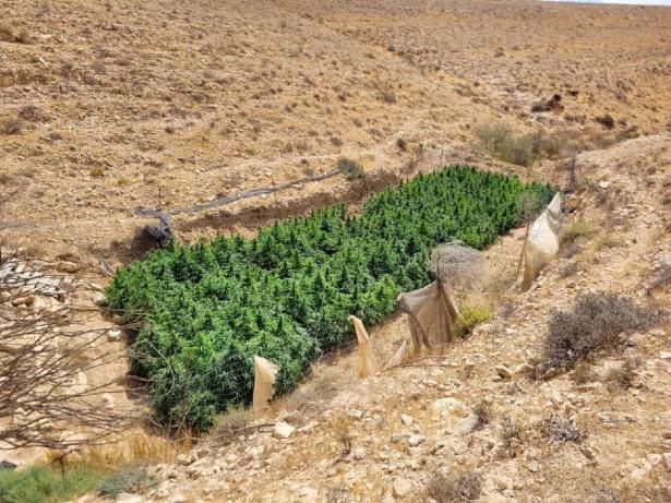 بير هدّاج النّقب: ضبط 14 مركبة و20 كيلوغراما من الحشيش